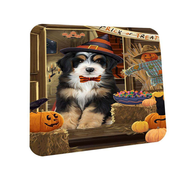 Enter at Own Risk Trick or Treat Halloween Bernedoodle Dog Coasters Set of 4 CST52957