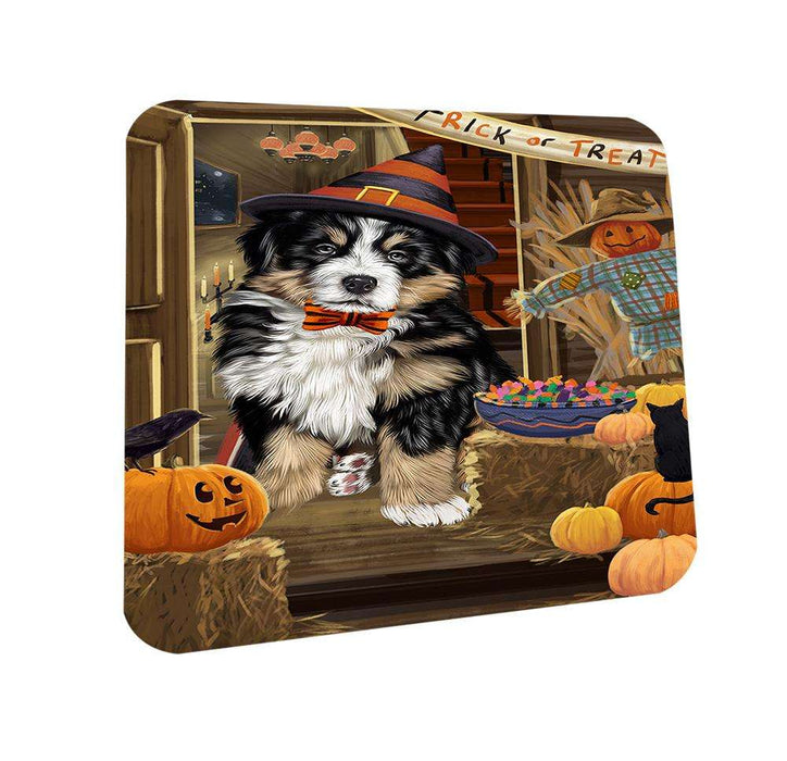 Enter at Own Risk Trick or Treat Halloween Bernese Mountain Dog Coasters Set of 4 CST52962