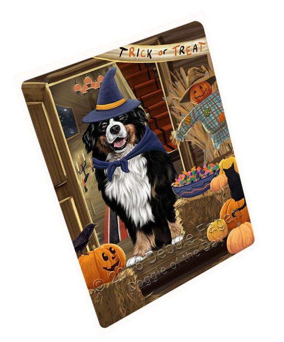Enter at Own Risk Trick or Treat Halloween Bernese Mountain Dog Cutting Board C63441