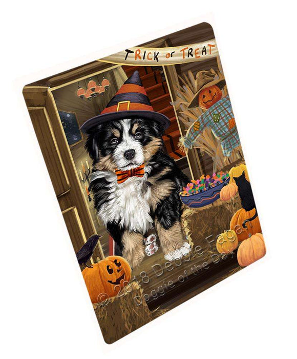 Enter at Own Risk Trick or Treat Halloween Bernese Mountain Dog Cutting Board C63453