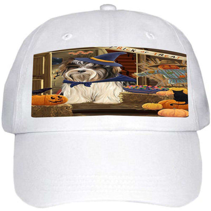 Enter at Own Risk Trick or Treat Halloween Biewer Terrier Dog Ball Hat Cap HAT62760