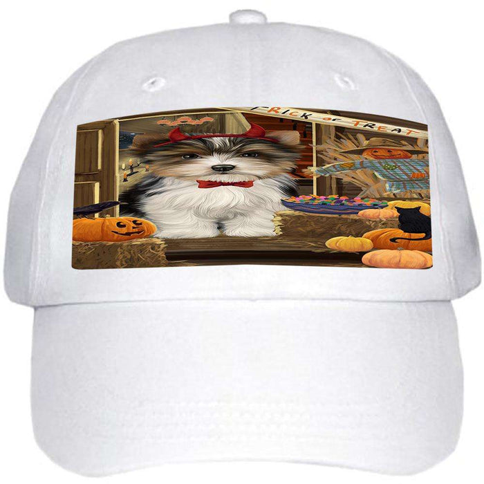 Enter at Own Risk Trick or Treat Halloween Biewer Terrier Dog Ball Hat Cap HAT62769