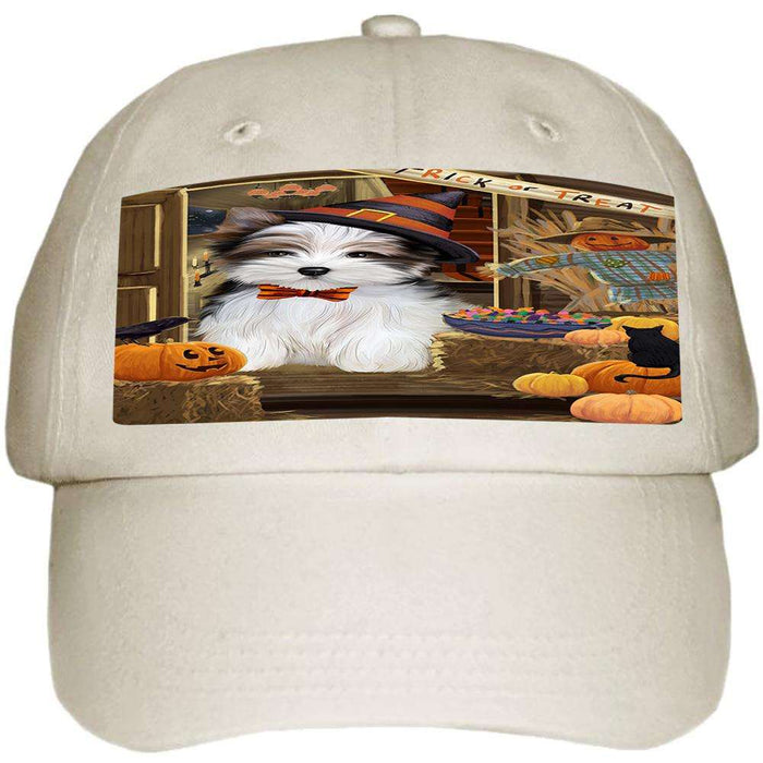 Enter at Own Risk Trick or Treat Halloween Biewer Terrier Dog Ball Hat Cap HAT62772