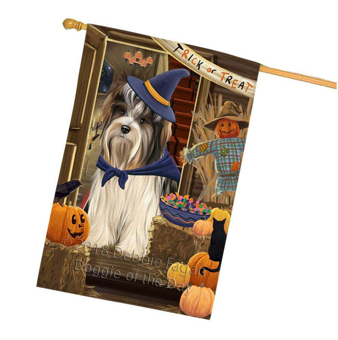 Enter at Own Risk Trick or Treat Halloween Biewer Terrier Dog House Flag FLG53207