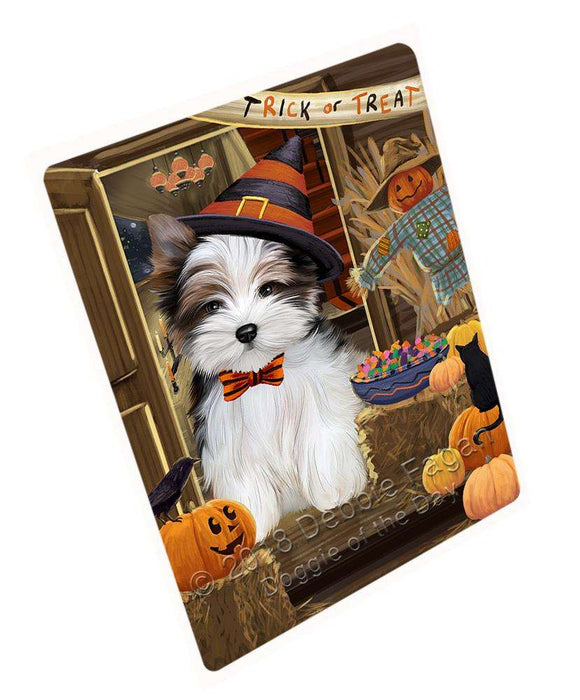 Enter At Own Risk Trick Or Treat Halloween Biewer Terrier Dog Magnet Mini (3.5" x 2") MAG63483