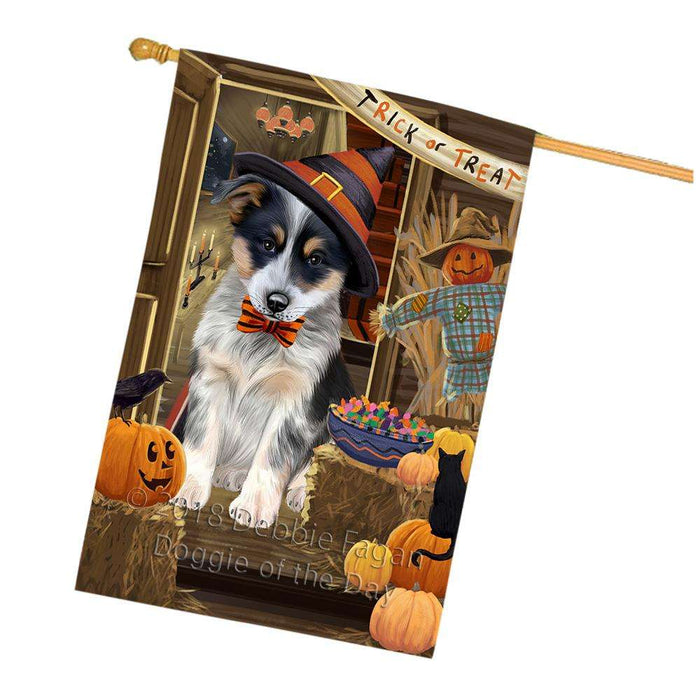 Enter at Own Risk Trick or Treat Halloween Blue Heeler Dog House Flag FLG53221