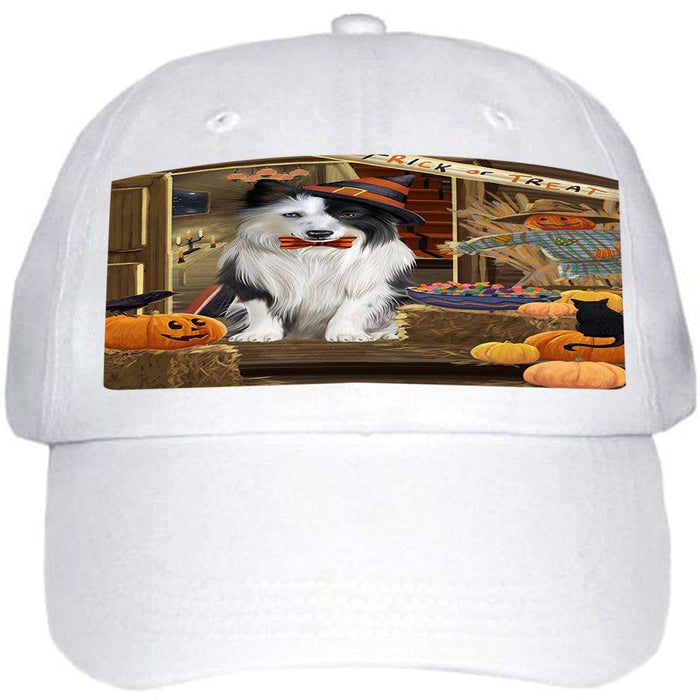 Enter at Own Risk Trick or Treat Halloween Border Collie Dog Ball Hat Cap HAT62832