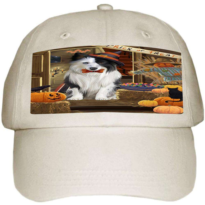 Enter at Own Risk Trick or Treat Halloween Border Collie Dog Ball Hat Cap HAT62832