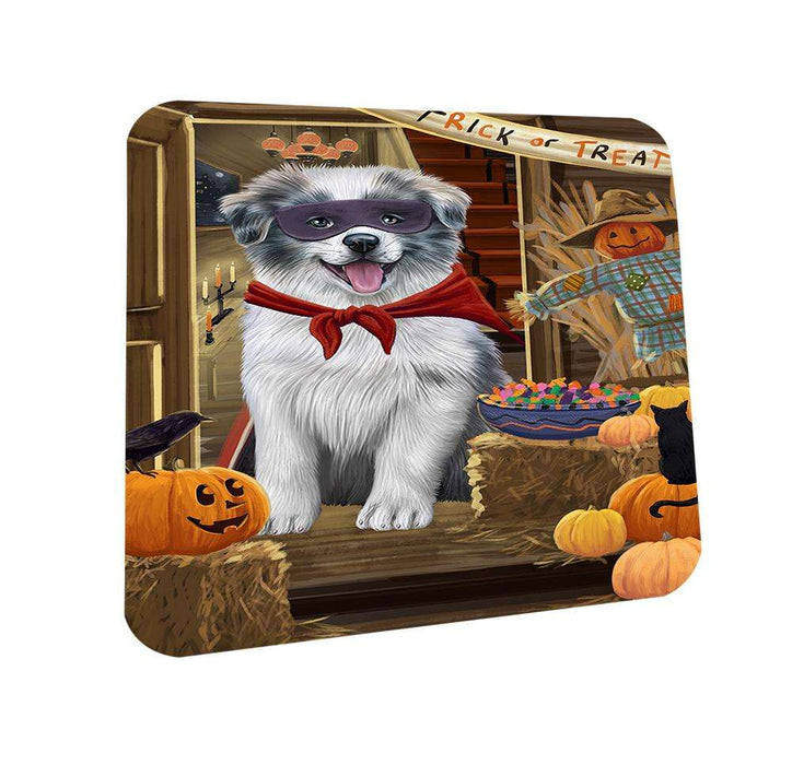 Enter at Own Risk Trick or Treat Halloween Border Collie Dog Coasters Set of 4 CST52989