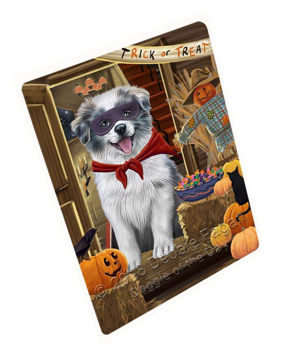 Enter At Own Risk Trick Or Treat Halloween Border Collie Dog Magnet Mini (3.5" x 2") MAG63534