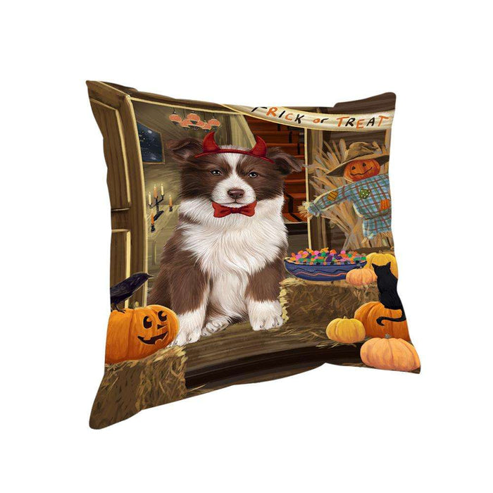 Enter at Own Risk Trick or Treat Halloween Border Collie Dog Pillow PIL68636