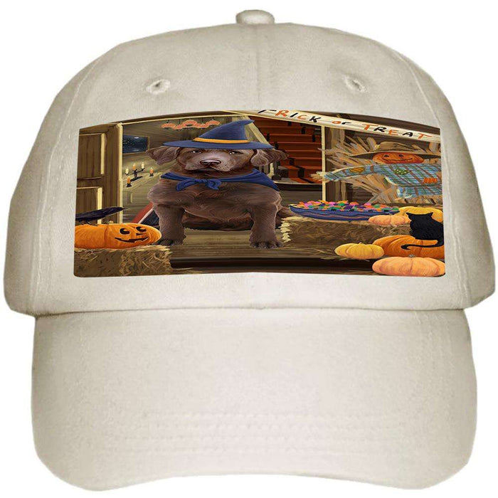 Enter at Own Risk Trick or Treat Halloween Chesapeake Bay Retriever Dog Ball Hat Cap HAT62955