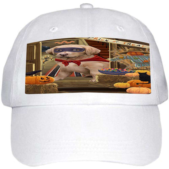 Enter at Own Risk Trick or Treat Halloween Chesapeake Bay Retriever Dog Ball Hat Cap HAT62958