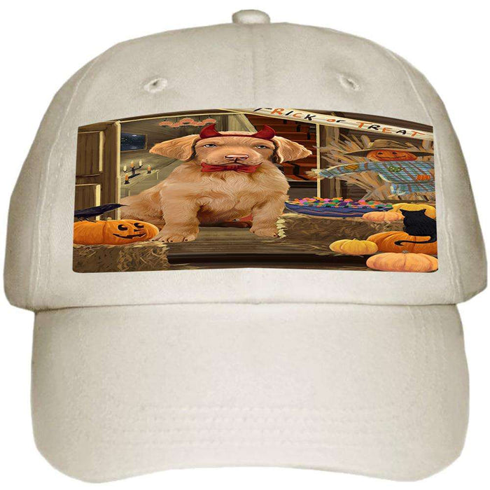 Enter at Own Risk Trick or Treat Halloween Chesapeake Bay Retriever Dog Ball Hat Cap HAT62964