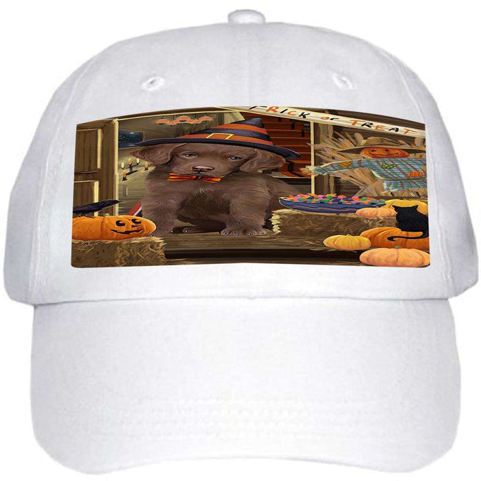 Enter at Own Risk Trick or Treat Halloween Chesapeake Bay Retriever Dog Ball Hat Cap HAT62967