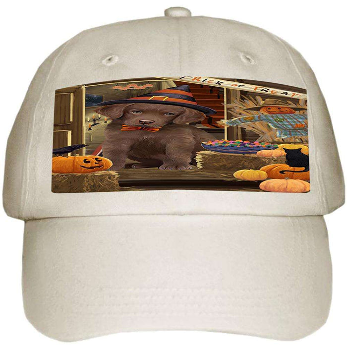 Enter at Own Risk Trick or Treat Halloween Chesapeake Bay Retriever Dog Ball Hat Cap HAT62967