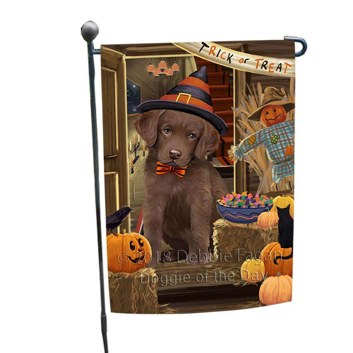 Enter at Own Risk Trick or Treat Halloween Chesapeake Bay Retriever Dog Garden Flag GFLG53140