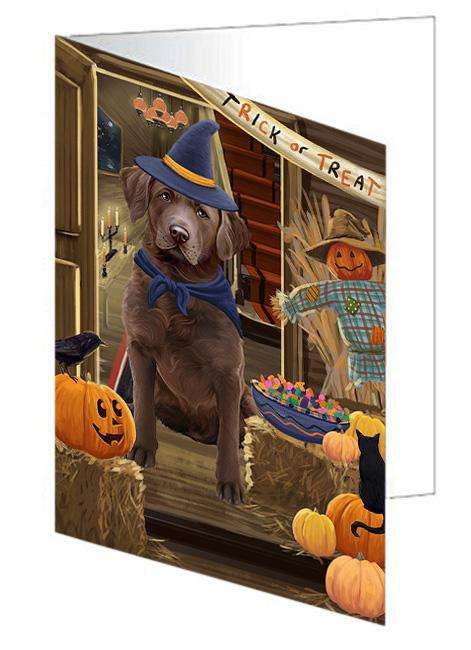 Enter at Own Risk Trick or Treat Halloween Chesapeake Bay Retriever Dog Handmade Artwork Assorted Pets Greeting Cards and Note Cards with Envelopes for All Occasions and Holiday Seasons GCD63251