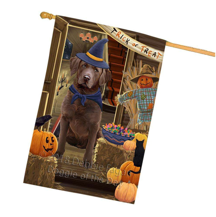 Enter at Own Risk Trick or Treat Halloween Chesapeake Bay Retriever Dog House Flag FLG53272
