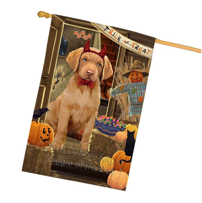 Enter at Own Risk Trick or Treat Halloween Chesapeake Bay Retriever Dog House Flag FLG53275