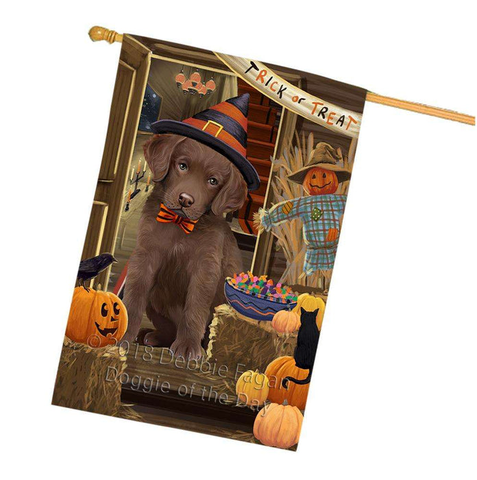 Enter at Own Risk Trick or Treat Halloween Chesapeake Bay Retriever Dog House Flag FLG53276