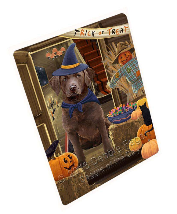 Enter At Own Risk Trick Or Treat Halloween Chesapeake Bay Retriever Dog Magnet Mini (3.5" x 2") MAG63666