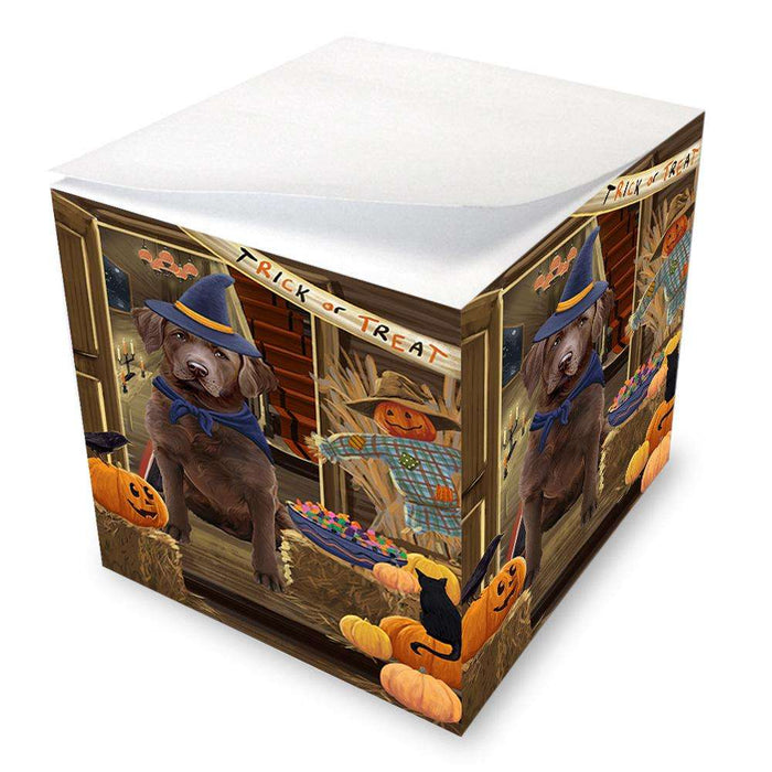 Enter at Own Risk Trick or Treat Halloween Chesapeake Bay Retriever Dog Note Cube NOC53074
