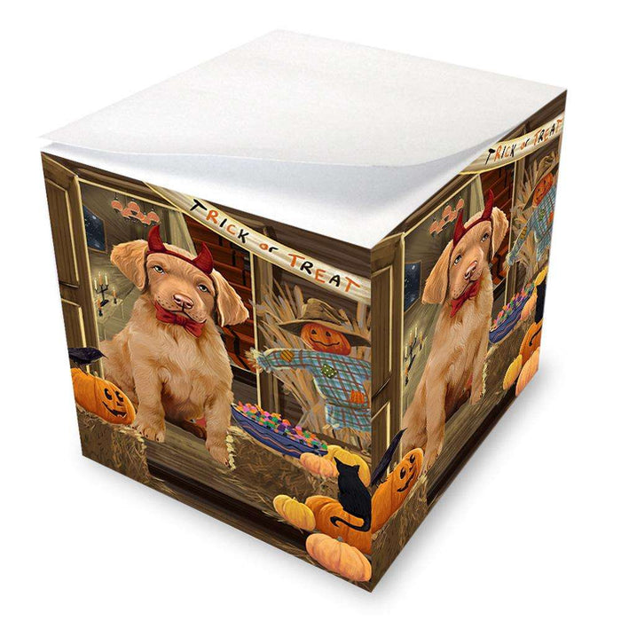 Enter at Own Risk Trick or Treat Halloween Chesapeake Bay Retriever Dog Note Cube NOC53077