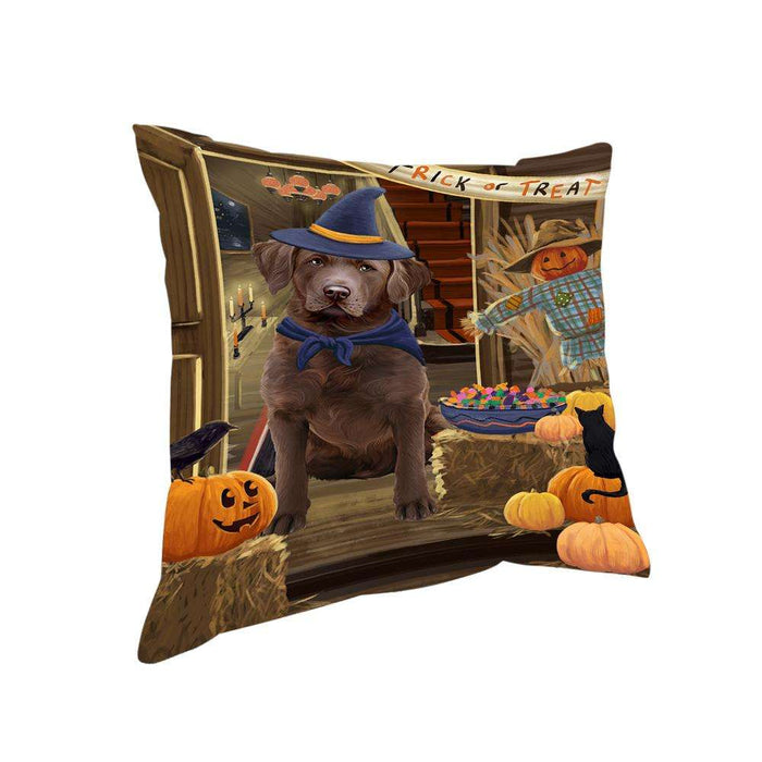 Enter at Own Risk Trick or Treat Halloween Chesapeake Bay Retriever Dog Pillow PIL68804