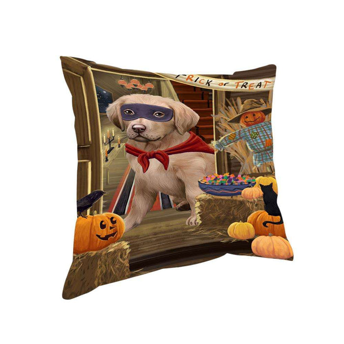 Enter at Own Risk Trick or Treat Halloween Chesapeake Bay Retriever Dog Pillow PIL68808