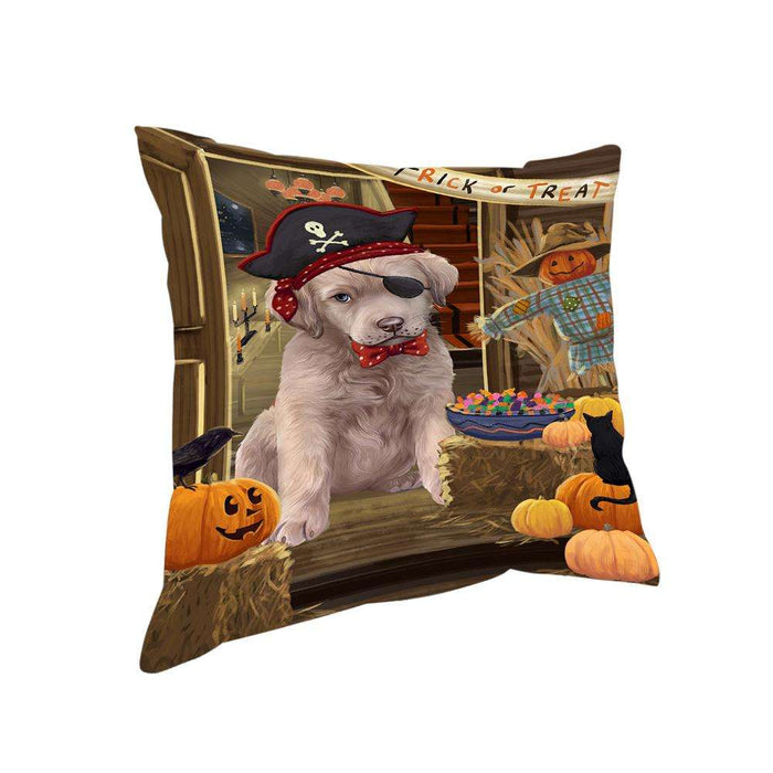 Enter at Own Risk Trick or Treat Halloween Chesapeake Bay Retriever Dog Pillow PIL68812