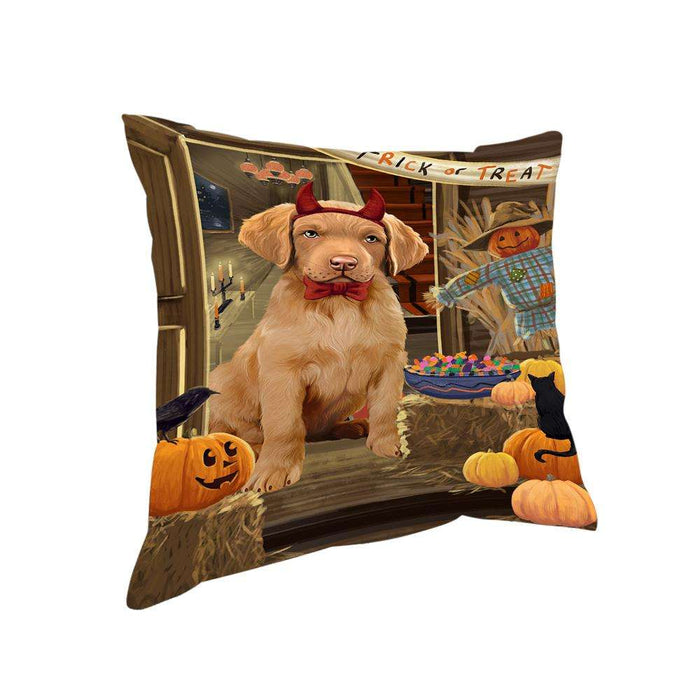 Enter at Own Risk Trick or Treat Halloween Chesapeake Bay Retriever Dog Pillow PIL68816