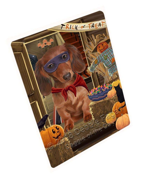 Enter At Own Risk Trick Or Treat Halloween Dachshund Dog Magnet Mini (3.5" x 2") MAG63759