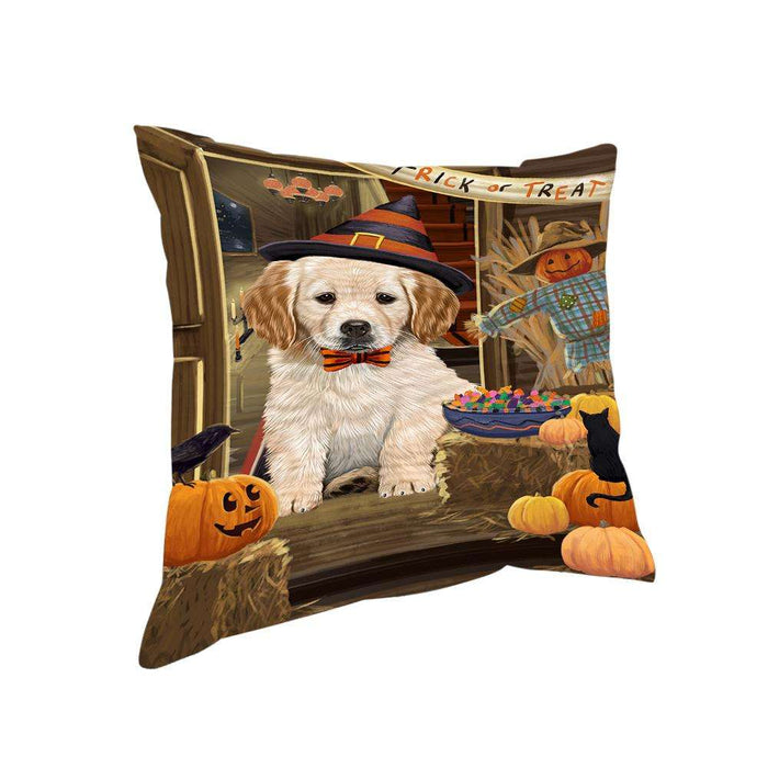 Enter at Own Risk Trick or Treat Halloween Golden Retriever Dog Pillow PIL69040