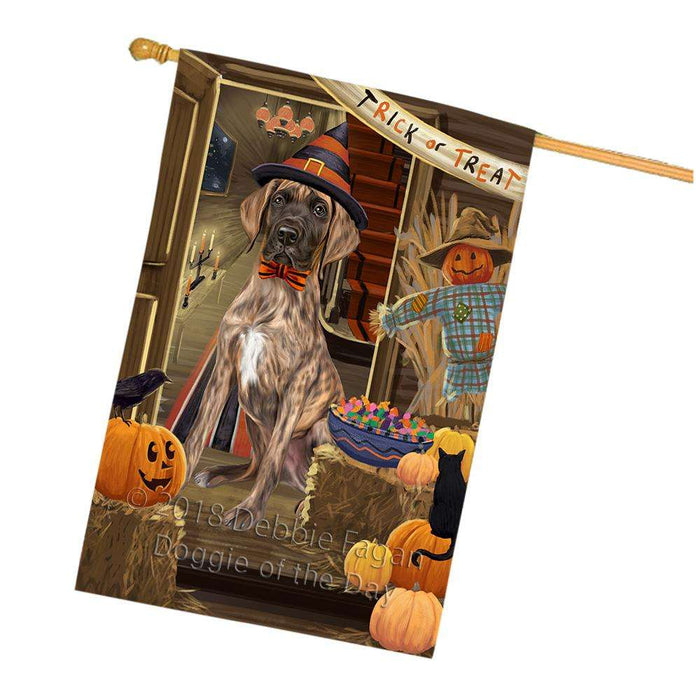 Enter at Own Risk Trick or Treat Halloween Great Dane Dog House Flag FLG53341