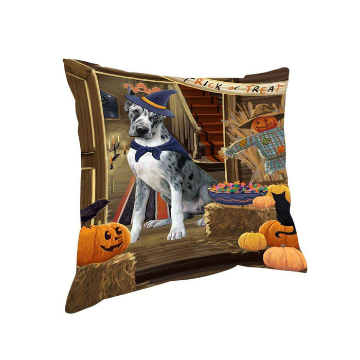 Enter at Own Risk Trick or Treat Halloween Great Dane Dog Pillow PIL69064