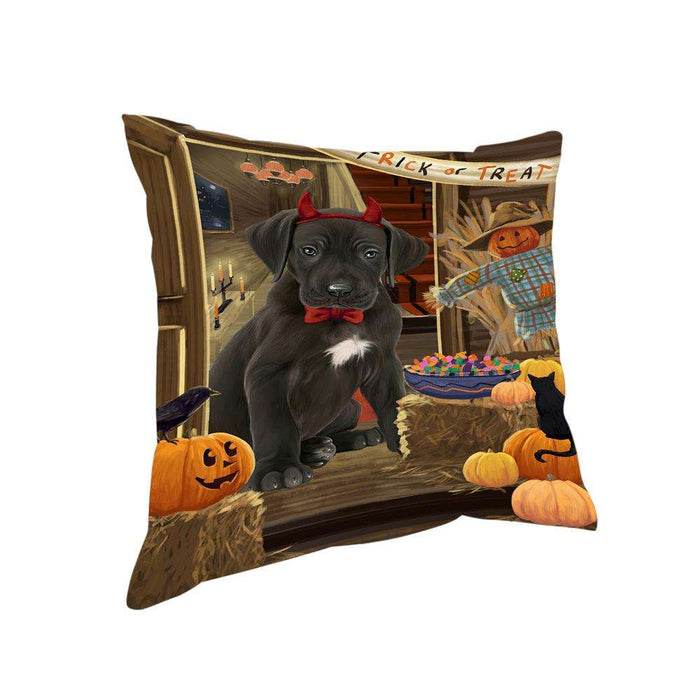 Enter at Own Risk Trick or Treat Halloween Great Dane Dog Pillow PIL69076