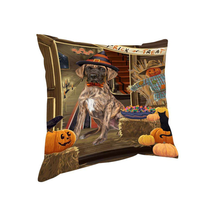 Enter at Own Risk Trick or Treat Halloween Great Dane Dog Pillow PIL69080