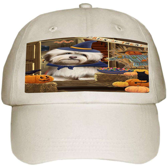 Enter at Own Risk Trick or Treat Halloween Havanese Dog Ball Hat Cap HAT63195