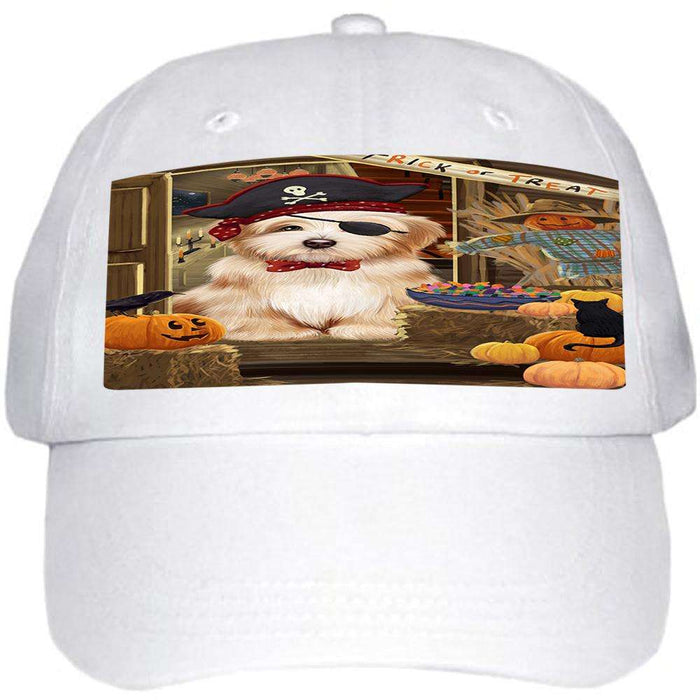 Enter at Own Risk Trick or Treat Halloween Havanese Dog Ball Hat Cap HAT63201