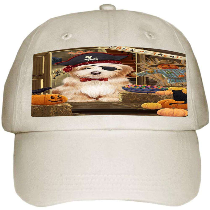 Enter at Own Risk Trick or Treat Halloween Havanese Dog Ball Hat Cap HAT63201