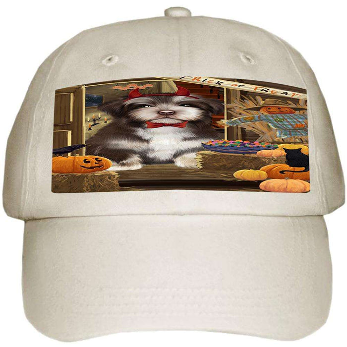 Enter at Own Risk Trick or Treat Halloween Havanese Dog Ball Hat Cap HAT63204