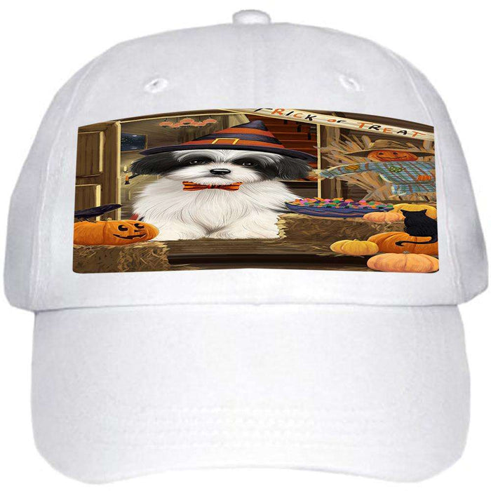 Enter at Own Risk Trick or Treat Halloween Havanese Dog Ball Hat Cap HAT63207