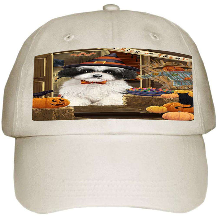 Enter at Own Risk Trick or Treat Halloween Havanese Dog Ball Hat Cap HAT63207