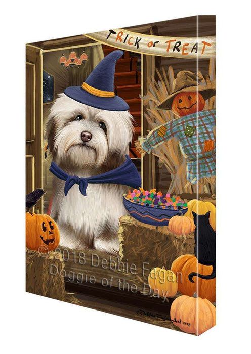 Enter at Own Risk Trick or Treat Halloween Havanese Dog Canvas Print Wall Art Décor CVS96236