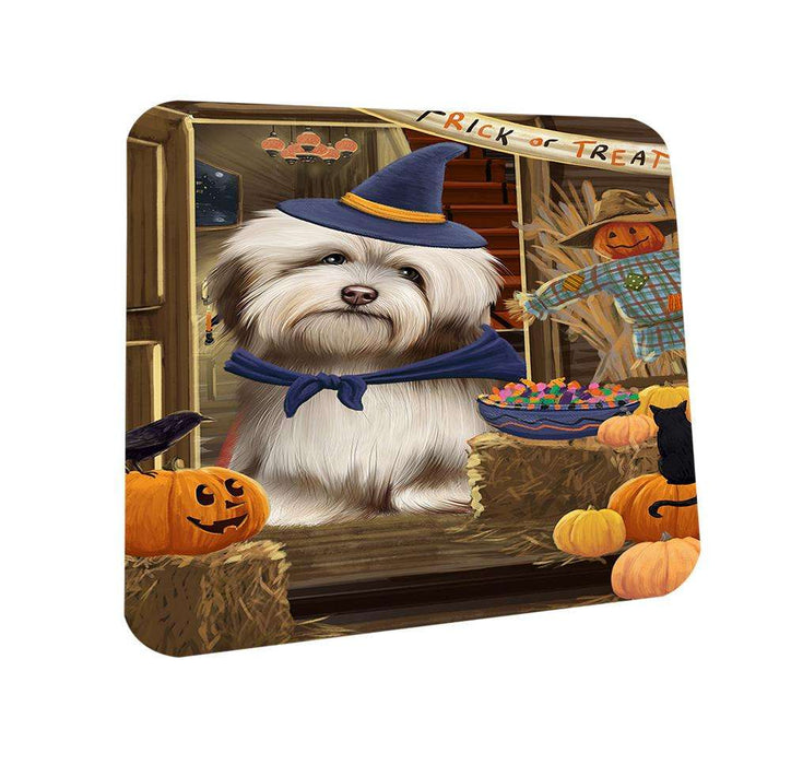 Enter at Own Risk Trick or Treat Halloween Havanese Dog Coasters Set of 4 CST53113