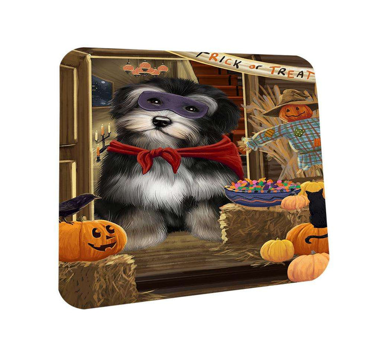 Enter at Own Risk Trick or Treat Halloween Havanese Dog Coasters Set of 4 CST53114