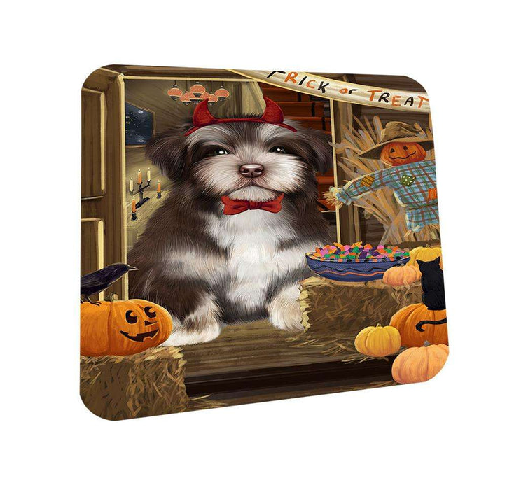 Enter at Own Risk Trick or Treat Halloween Havanese Dog Coasters Set of 4 CST53116