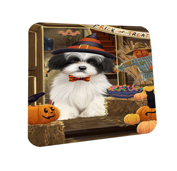 Enter at Own Risk Trick or Treat Halloween Havanese Dog Coasters Set of 4 CST53117