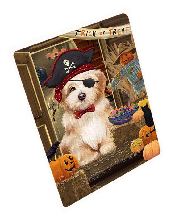 Enter at Own Risk Trick or Treat Halloween Havanese Dog Cutting Board C63912